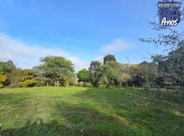 Imagem 1 · Sítio para venda em Restinga, Porto Alegre