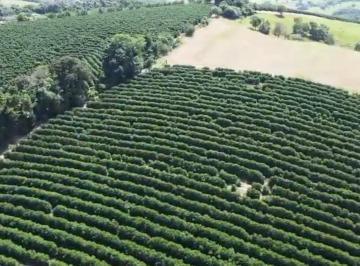 Imagem 1 · Fazenda para venda em Centro, Santana da Vargem