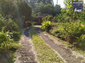 Imagem 1 · Sítio para venda em Centro, Osório