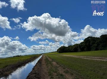 Imagem 1 · Fazenda para venda em Centro, Vale Verde