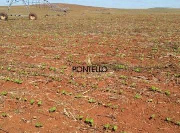Imagem 1 · Fazenda para venda em Centro, Diamantina