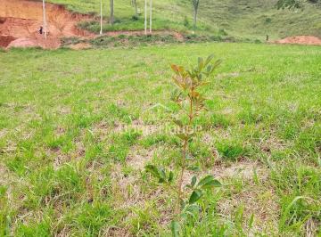 Imagem 1 · Terreno