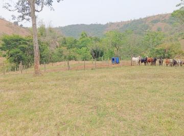 Imagem 1 · Fazenda