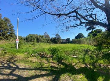 Terreno , Bento Gonçalves · Terreno de 960m2 no bairro Santo Antão