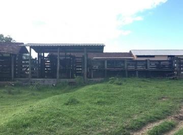 foto 1 · Fazenda à venda na Rua Carijó, Centro (São Vicente), Araruama - RJ
