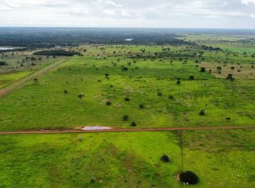 Rural de 3 quartos, Formoso do Araguaia · Fazenda Dupla Aptidão