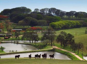 Rural de 22 quartos, Amparo · HARAS DE ALTO PADRÃO À VENDA REGIÃO DE AMPARO/ JAGUARIÚNA- SP