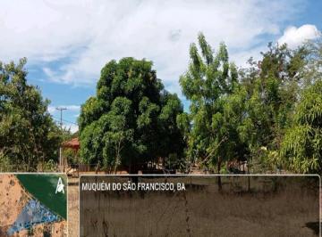 Rural · 40000m² · Rurais - leilão - em Muquém de São Francisco