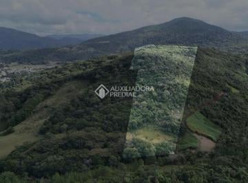 Terreno · 38621m² · Área com 38.621,14 m² de Natureza Intocada na Encantada