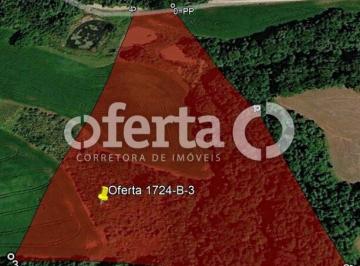 Rural · 20600m² · CHACARA COLONIA CRISTINA