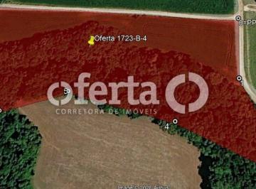 Rural · 20000m² · Chacara Colonia Cristina - Araucaria
