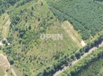 Terreno · 15000m² · Terreno à venda - em Montenegro
