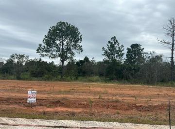 Terreno · 300m² · Terreno plano em Nossa Senhora da Conceição - Balneário Piçarras - SC