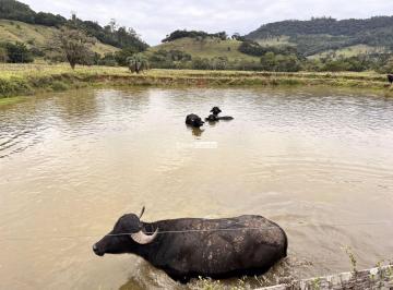 Rural · 21m² · SÍTIO À VENDA EM TAQUARA/RS | 21 Hectares com 5 Açudes e Arroio