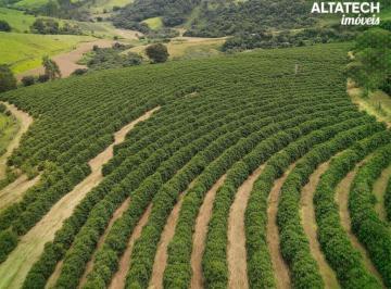 Rural · 484000m² · Fazenda 48,4 ha à venda em Roseira, Bandeira do Sul