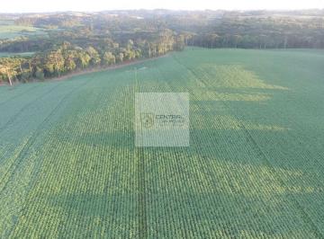 qiwfu9m2ytniztm3nzc0y2zi_md · Oportunidade Rural: 66 Alqueires para Agricultura, Pecuária e Turismo
