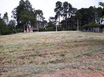 e200aa3a34cf4675bfce08526a5c13da619d645d · Terreno à venda, 2185 m² por R$ 650.000,00 - Chácaras Cataguá - Taubaté/SP