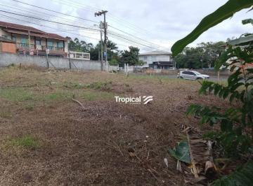 42f504d4db0375aec2da8366ce5fd7971a41bfb2 · Terreno à venda, 360 m² por R$ 390.000,00 - Fortaleza Alta - Blumenau/SC