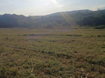 Rural , Santo Antônio da Alegria · Bom para plantar café ,rico em águas tambén