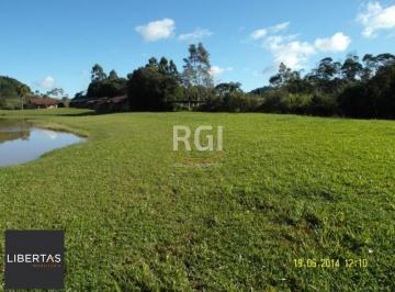 Terreno · 35000m² · Area para Venda - 35000m², 0 dormitórios, Centro