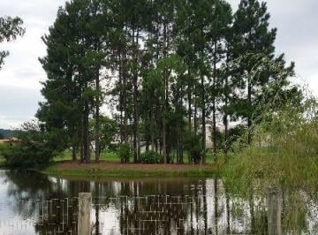 Terreno · 1080m² · Terreno plano, de 1080m2 no terra ville
