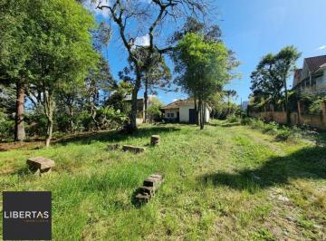 Terreno · 4452m² · Terreno para Venda - 4.452m Bairro Jardim Isabel