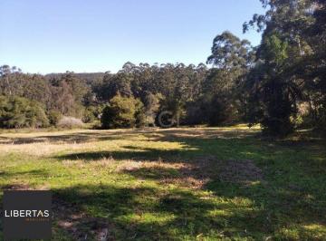 Rural · 2500m² · Sítio para Venda - 2500m², 0 dormitórios, Passo Da Areia