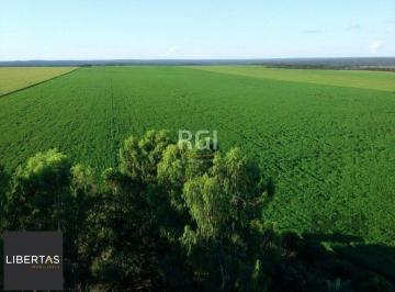 Rural · 850m² · Rurais à venda - no Centro