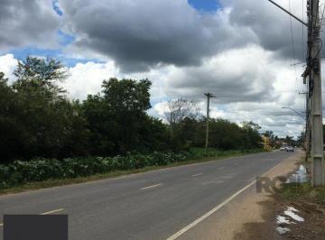 Terreno · 1500m² · Terreno à venda - na Ponta Grossa