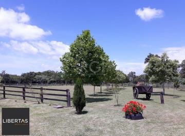 Rural · 4m² · 3 Quartos · 9 Vagas · Sítio para Venda - 40685m², 0 dormitórios, Lami