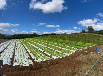 Rural · 200m² · Rurais à venda - em São José do Hortêncio