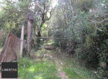Rural · 53851m² · Área 53851,44 m² no Beco da Paixão Bairro Lomba do Pinheiro