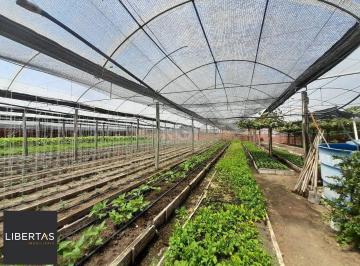 Terreno · 6629m² · SÍTIO DENTRO DE PORTO ALEGRE 6.629,10 metros quadrados de área no bairro Campo N