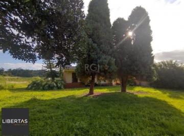 Rural · 80ha · Área de terras no bairro Campo Novo