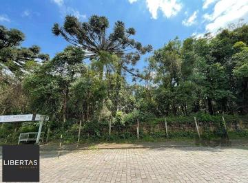 Terreno · 13420m² · Terreno à venda - em Marechal Floriano