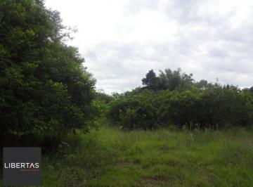 Terreno · 5080m² · Terreno para Venda - 0m², 0 dormitórios, Lami