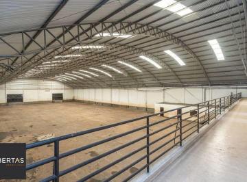 Comercial · 3000m² · 6 Quartos · 10 Vagas · Comercial para aluguel - em Navegantes