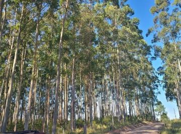 Terreno · Ampla Área em Viamão – 18,5 Hectares de Potencial