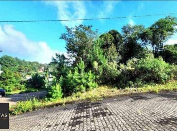 Terreno · 450m² · Terreno em Nova Petrópolis