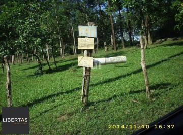 Terreno · 4200m² · Terreno para Venda - 0m², 0 dormitórios, Lomba do Pinheiro