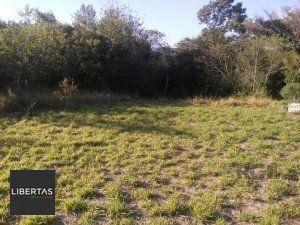 Terreno · 800m² · Terreno à venda - na Ponta Grossa
