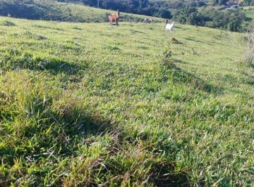Rural de 4 quartos, Amparo · 45 Alqueires Região de Serra Negra: Tradição, Água e Renda no Circuito das Águas