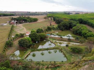 Rural de 3 quartos, São José do Rio Preto · SÍTIO BELISSÍMO, SENDO UMA OPORTUNIDADE! ÚNICA! ÁREA DE 121.000 M² COMERCIAL PARA LOGÍSTICA.