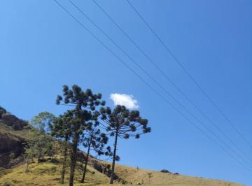 Foto 01 · Área Rural, Rural, São Francisco Xavier, SP