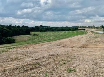 Rural · 23606m² · 1 Quarto · Chácara com 23606m , de frente para o asfalto, em Araucária
