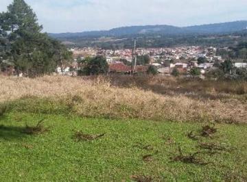 Terreno · 28000m² · Área com potencial construtivo em Campo Largo. Venha conferir essa oportunidade.