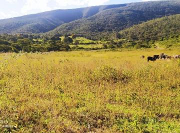 Rural · 400m² · 2 Quartos · 2 Vagas · Fazenda em Novo Cruzeiro