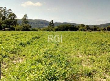 Terreno · 20060m² · Sítio para Venda - 20060m² Zona Sul Lami