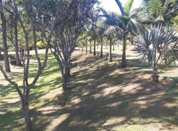 Imagem 1 · Sítio para venda em Parque Itacolomi, Gravataí