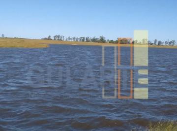 Imagem 1 · Fazenda